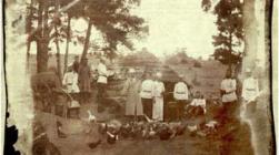 Photography Applied to the Ornamenting of Silk Stuffs